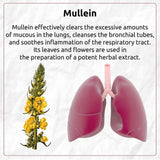 Mullein Leaf and Rose Tea Blend 4oz.